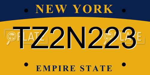 TZ2N223 New York License Plate