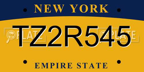 TZ2R545 New York License Plate