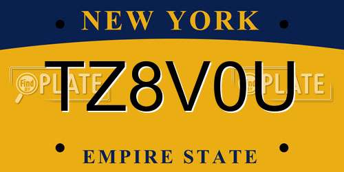 TZ8V0U New York License Plate