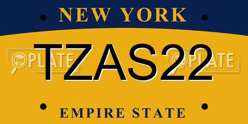 TZAS22 New York License Plate