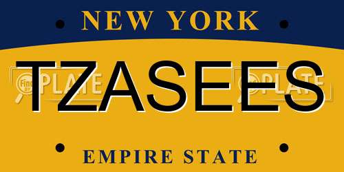 TZASEES New York License Plate