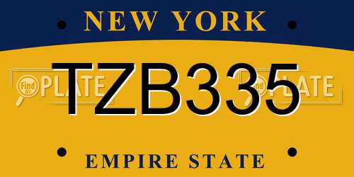 TZB335 New York License Plate