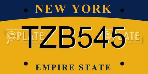TZB545 New York License Plate
