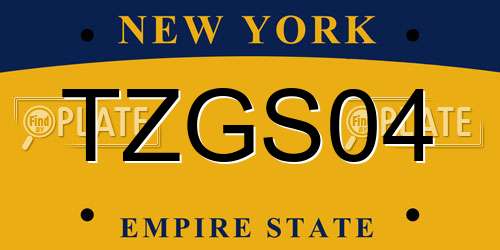 TZGS04 New York License Plate
