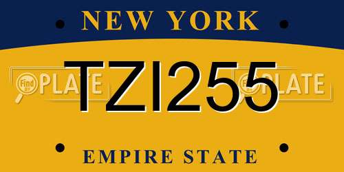 TZI255 New York License Plate