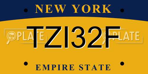 TZI32F New York License Plate
