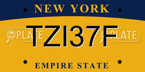 TZI37F New York License Plate