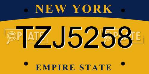 TZJ5258 New York License Plate
