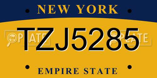 TZJ5285 New York License Plate