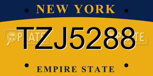 TZJ5288 New York License Plate