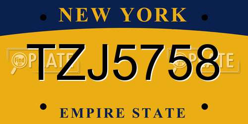 TZJ5758 New York License Plate