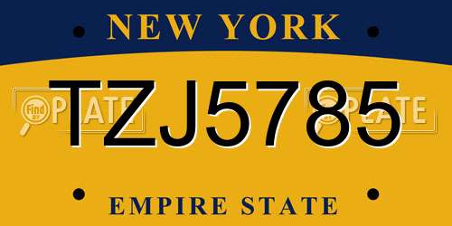 TZJ5785 New York License Plate