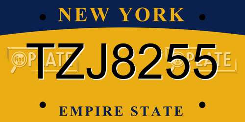 TZJ8255 New York License Plate