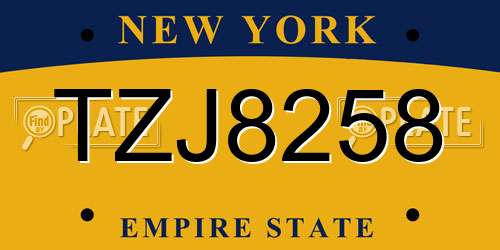 TZJ8258 New York License Plate