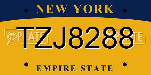 TZJ8288 New York License Plate