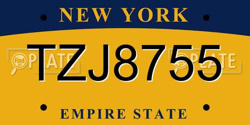 TZJ8755 New York License Plate