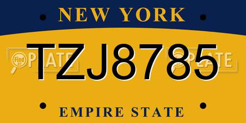 TZJ8785 New York License Plate