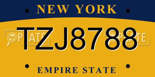 TZJ8788 New York License Plate