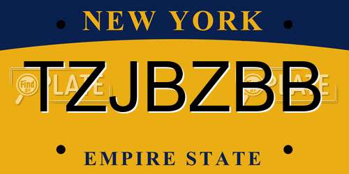 TZJBZBB New York License Plate