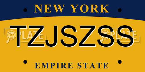 TZJSZSS New York License Plate