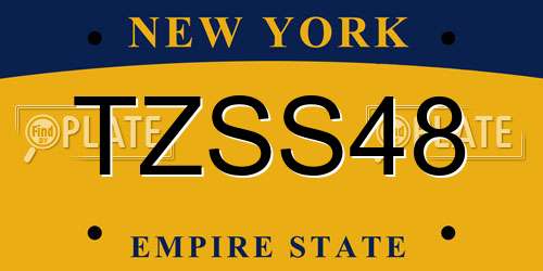 TZSS48 New York License Plate
