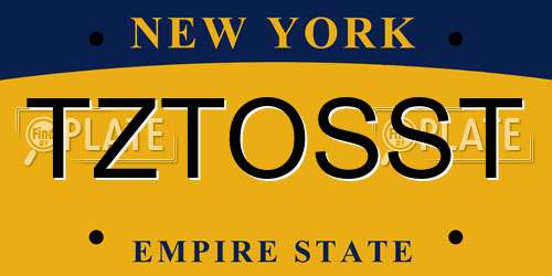 TZTOSST New York License Plate
