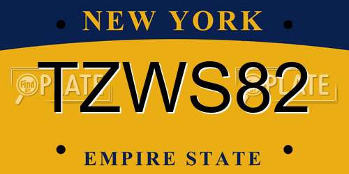 TZWS82 New York License Plate