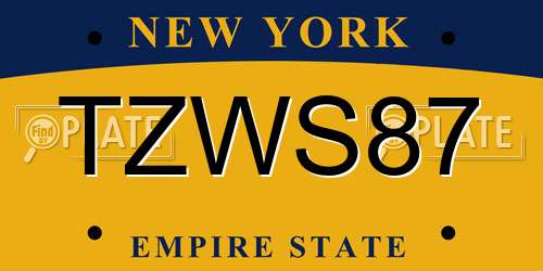 TZWS87 New York License Plate