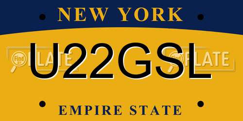 U22GSL New York License Plate
