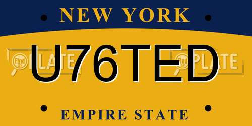 U76TED New York License Plate