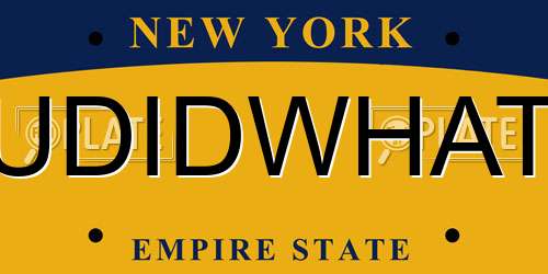 UDIDWHAT New York License Plate
