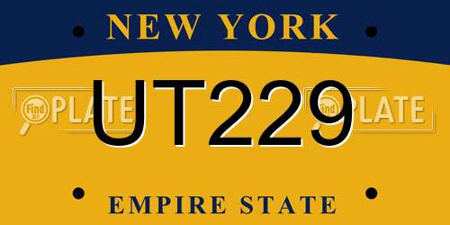 UT229 New York License Plate