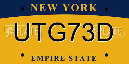 UTG73D New York License Plate