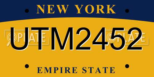UTM2452 New York License Plate