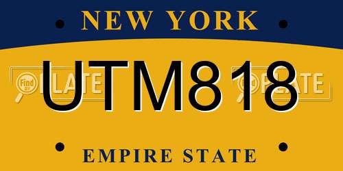 UTM818 New York License Plate