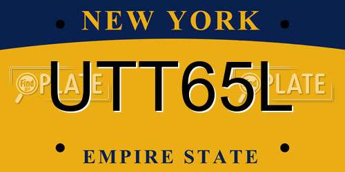 UTT65L New York License Plate