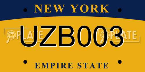 UZB003 New York License Plate