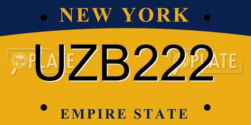 UZB222 New York License Plate