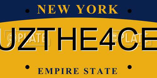 UZTHE4CE New York License Plate