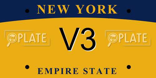 V3 New York License Plate