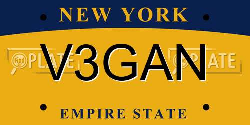 V3GAN New York License Plate