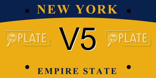 V5 New York License Plate