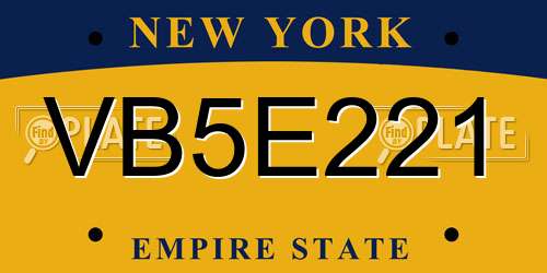 VB5E221 New York License Plate
