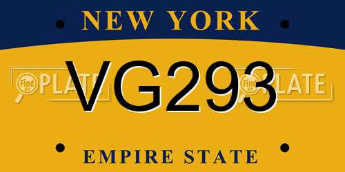 VG293 New York License Plate