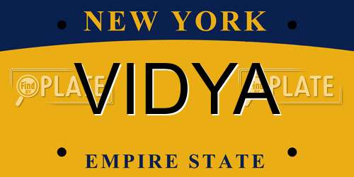 VIDYA New York License Plate