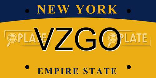 VZGO New York License Plate
