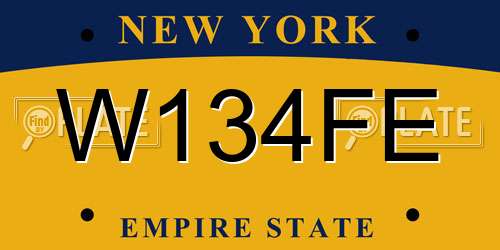 W134FE New York License Plate