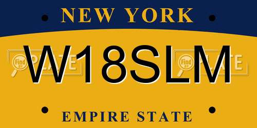 W18SLM New York License Plate