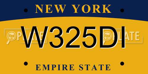 W325DI New York License Plate