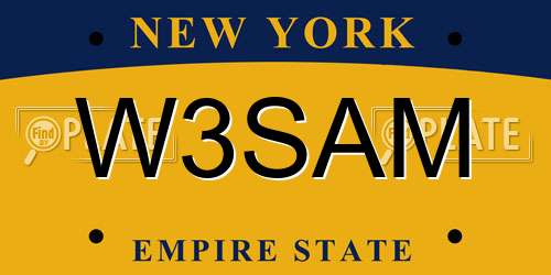 W3SAM New York License Plate